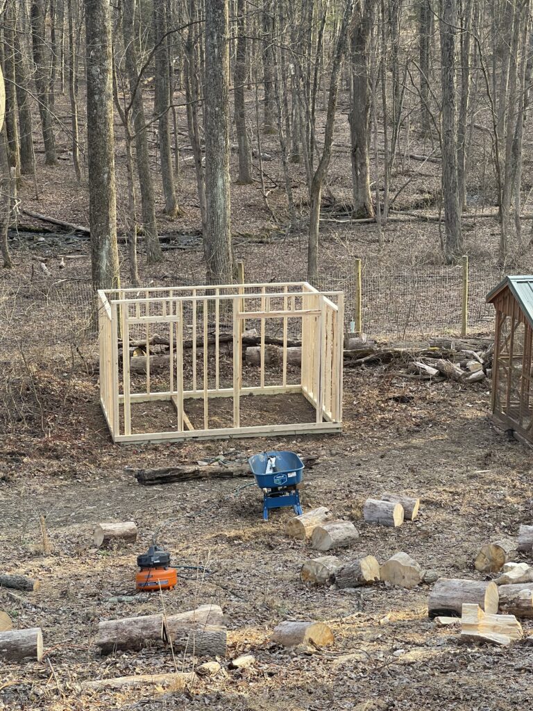 frame stage of building a goat barn with hay storage. in a wooded area with a small flat clearing